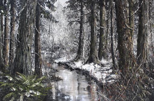 Winter Wonder